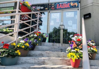 Marché Saluk, Irania...