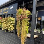 Diyar Persian Restaurant