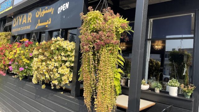 Diyar Persian Restaurant