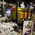 SADRA PERSIAN GRILL HOUSEرستوران صدراونكوور