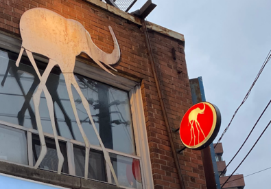 Salon de elephant