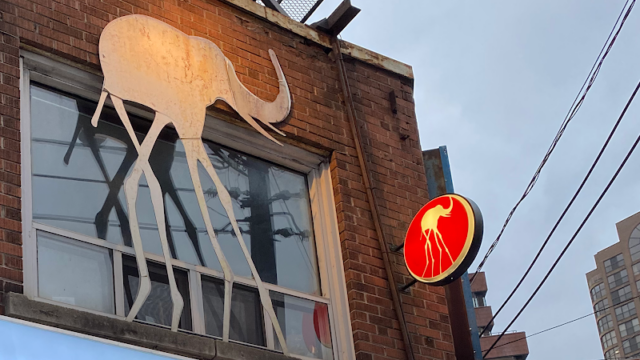 Salon de elephant